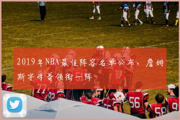 2019年NBA最佳阵容名单公布，詹姆斯字母哥领衔一阵